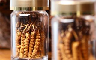 送冬蟲(chóng)夏草給男孩子好嗎？分場(chǎng)景分析 + 送禮建議