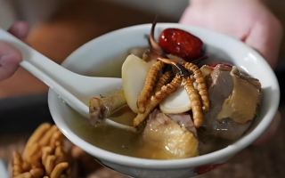  冬蟲夏草和什么食材搭配煲湯比較好？